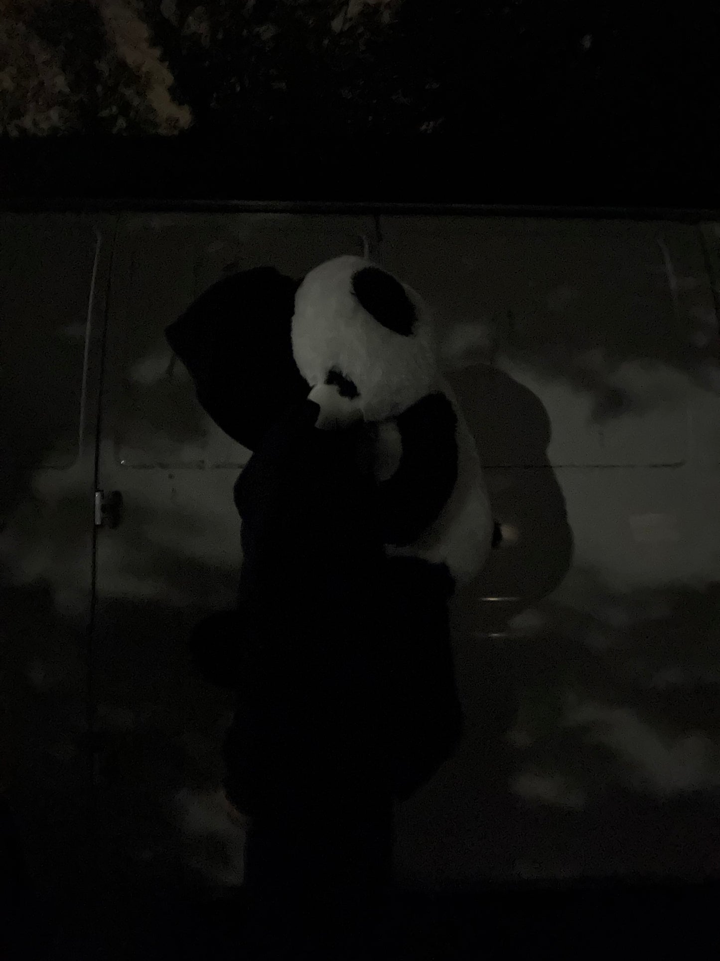 Panda "bearhug" backpack (1 of 1)